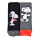 Chaussettes pack looney