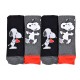 Chaussettes pack looney
