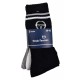 Chaussettes homme Sergio TacchiniModèle Tennis -Assortiment modèles photos selon arrivages-