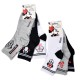 Pack de Chaussettes Femme Licence Fantaisies-Assortiment modèles photos selon arrivages-