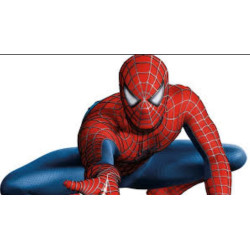 Chaussettes Pack HOMME SPIDERMAN