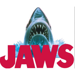 Chaussettes Pack Garçon JAWS