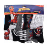 Chaussettes Pack Garçon SPIDERMAN