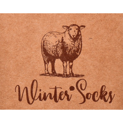 Chaussettes Femme WINTER SOCKS Spécial NOËL