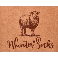 Chaussettes Femme WINTER SOCKS Hiver