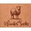 Chaussettes Femme WINTER SOCKS Hiver