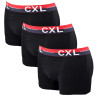 Boxer CHRISTIAN LACROIX X3