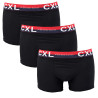 Boxer CHRISTIAN LACROIX X3