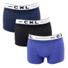 Boxer CHRISTIAN LACROIX X3