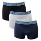 Boxer SERGIO TACCHINI X3