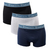 Boxer SERGIO TACCHINI X3
