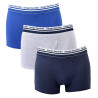 Boxer SERGIO TACCHINI