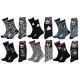 Chaussettes Pack Cadeaux Homme LICENCE