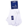 Chaussettes SERGIO TACCHINI SNEAKER