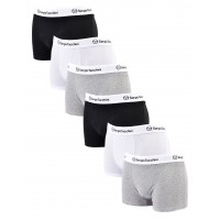 Boxer SERGIO TACCHINI
