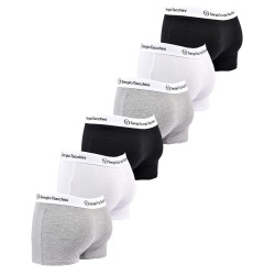 Boxer SERGIO TACCHINI