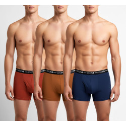 Lot de 3 boxers DIM en coton stretch