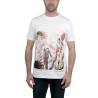 T shirt homme Valentina